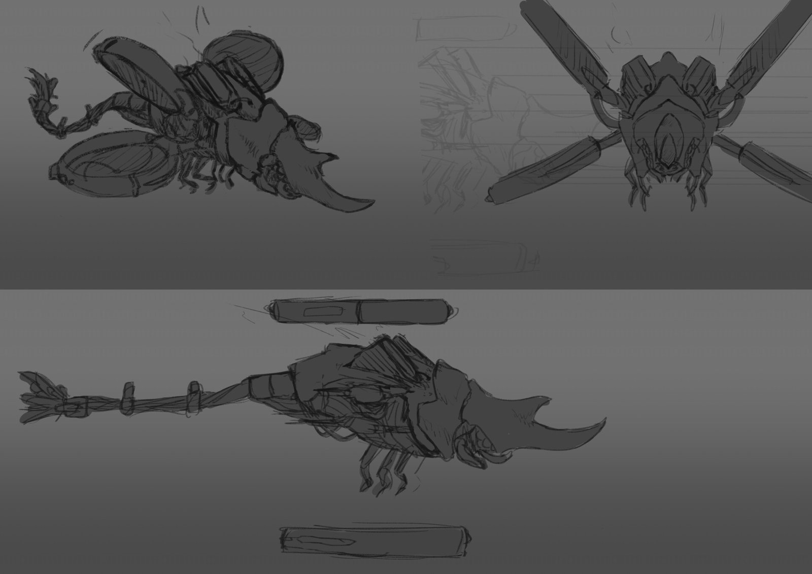 The reference sheet for the 3D model.